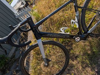 Used Wilier Rave SL CAMPAGNOLO EKAR GT 1X13S 2025 2025 Road & Gravel