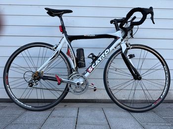 Used Scatto King 2019 Road & Gravel