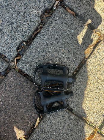 Použité Van rysel Edr Other 2024 Road & Gravel — obrázek 8 z 9