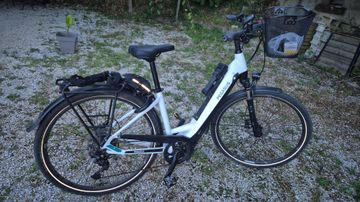 Pegasus VAE Evo 2024 Urban & Touring usato