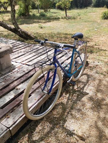 Used Giant Custom Other Shimano 1995 Mountainbike, Blue — image 3 of 6