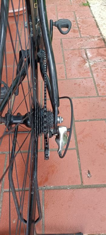 Tweedehands Gioda gold Custom Campagnolo Veloce 2010 Road & Gravel — afbeelding 5 van 7