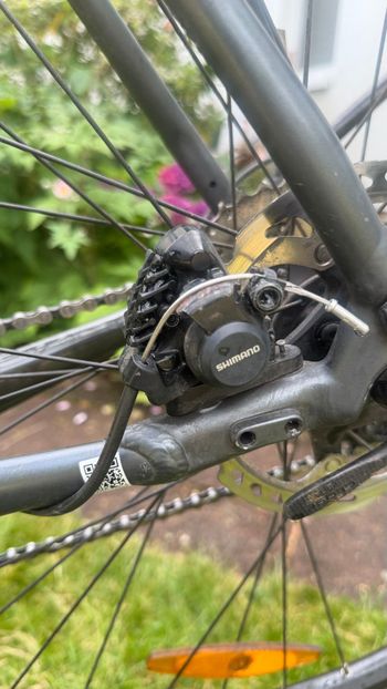 Used BULLS Grinder Shimano Claris 2018 Road & Gravel, Light Gray — image 6 of 8