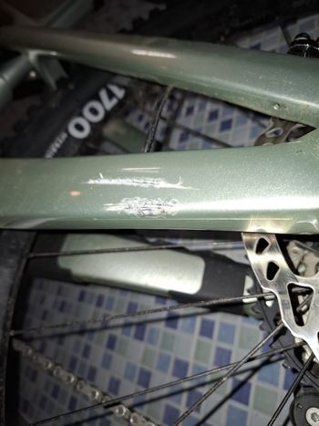 Used Canyon Strive:ON CFR 2025 2025 Mountainbike, Green — image 3 of 5