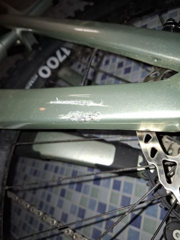 Used Canyon Strive:ON CFR 2025 2025 Mountainbike, Green — image 3 of 5