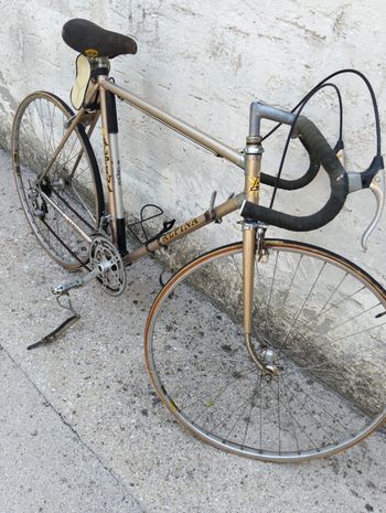 Used Alpina Custom Other Shimano - Mountainbike 1980 Road & Gravel, White — image 2 of 7