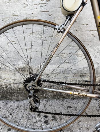 Used Alpina Custom Other Shimano - Mountainbike 1980 Road & Gravel, White — image 6 of 7
