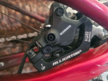 Brugt Lee Cougan Crossfire 428 Team Eagle 2023 2023 Mountainbike — billede 2 af 10