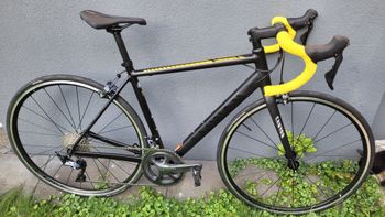 Canyon Endurace AL 8.0 2019 2019 Road & Gravel usato