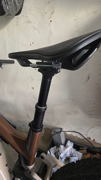 Brugt Haibike LYKE CF 10 2025 2025 Mountainbike — billede 13 af 20