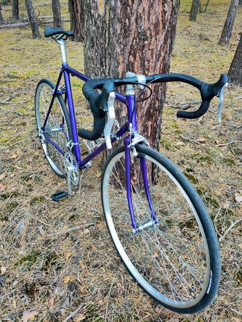 Used Hercules Custom Other Shimano 1990 Road & Gravel, Purple — image 4 of 8