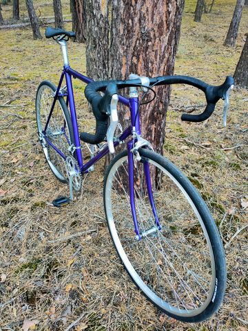 Hercules Custom Other Shimano 1990 Road & Gravel d'occasion — image 4 sur 8
