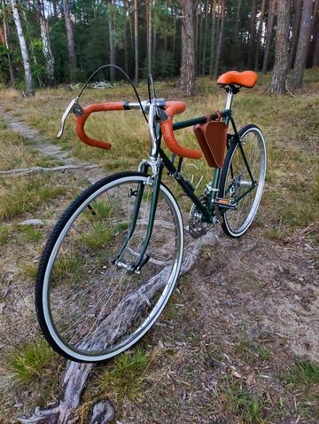 Used Schneider Custom Other Shimano 1985 Road & Gravel, Green — image 4 of 9