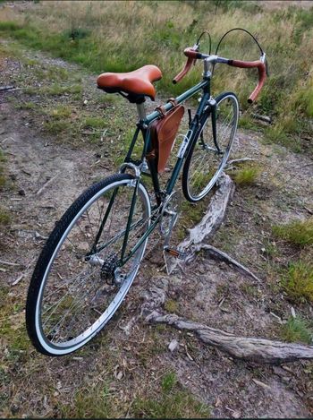 Used Schneider Custom Other Shimano 1985 Road & Gravel, Green — image 6 of 9