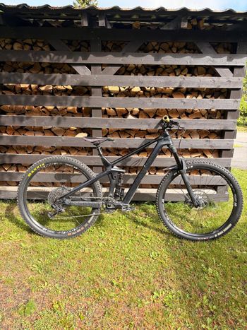 Tweedehands Canyon Strive CF 6.0 2019 2019 MTB