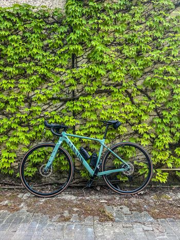 Canyon Grizl 6 1BY 2024 2024 Road & Gravel usato