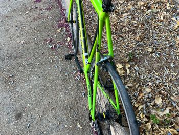 Cannondale CAAD Optimo Tiagra 2019 2019 Road & Gravel usato, Verde — immagine 7 di 7