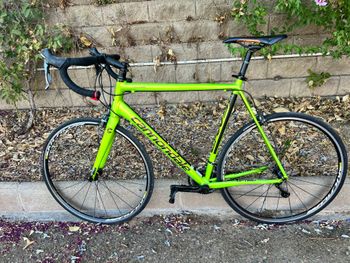 Cannondale CAAD Optimo Tiagra 2019 2019 Road & Gravel usato