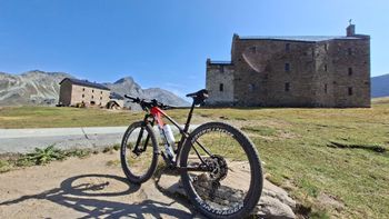 Used Trek Procaliber 9.8 2022 2022 Mountainbike, Red, 29 — image 2 of 3