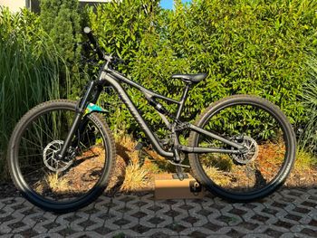 Used Specialized Stumpjumper Alloy 2022 2022 MTB