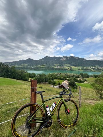 Used Specialized S Works Custom Shimano Dura Ace Di2 2020 Road & Gravel, Green — image 2 of 4