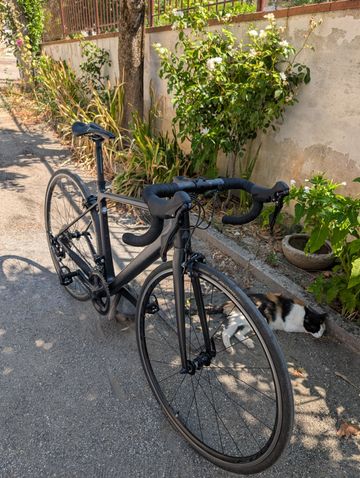 Używany Canyon Endurace CF 7.0 2019 2019 Road & Gravel — zdjęcie 2 z 5