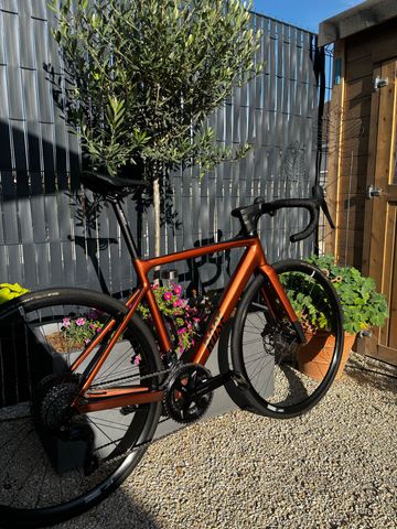 Used Rose Reveal AL 105 2025 2025 Road & Gravel