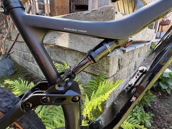 Used BULLS default 2023 2023 Mountainbike, Black — image 15 of 15
