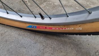 Used ATALA Custom Shimano Tourney Urban, White — image 9 of 13