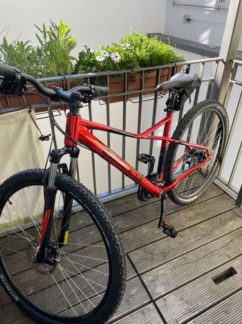 Used BULLS Raptor Disc 29 2026 MTB