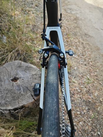 Used Colnago Custom Campagnolo Super Record 2022 Road & Gravel, Black — image 5 of 6