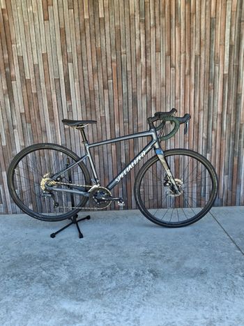Specialized Diverge E5 2023 2023 Road & Gravel usato