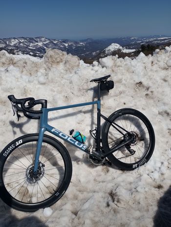 Used Focus IZALCO MAX DISC 9.7 2020 2020 Road & Gravel