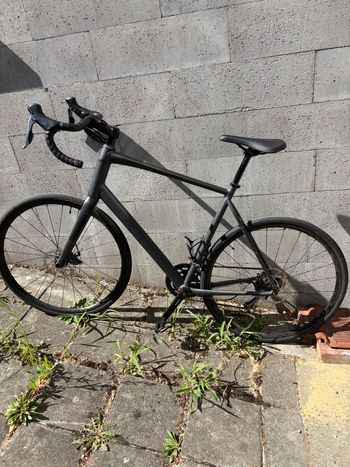 Used Trek Domane AL 2 Gen 4 2026 2026 Road & Gravel