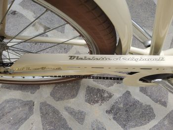 Bicicletta artigianale BI ART ruote larghe con borse praticamente nuova. Usata pochissimo BI ART Bicicletta Artigianale 2021 Urban & Touring d'occasion