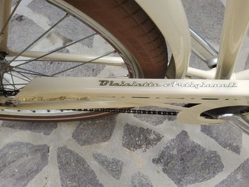Used Bicicletta artigianale BI ART ruote larghe con borse praticamente nuova. Usata pochissimo BI ART Bicicletta Artigianale 2021 Urban & Touring