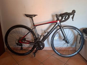 Tweedehands Megamo RAISE 20 2022 2022 Road & Gravel