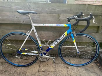 Used Colnago Master Other Campagnolo 1999 Road & Gravel, Blue — image 2 of 25
