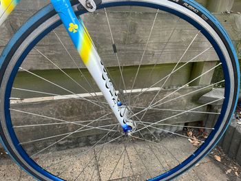 Used Colnago Master Other Campagnolo 1999 Road & Gravel, Blue — image 20 of 25