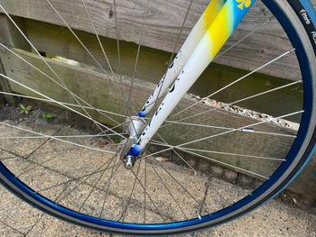 Used Colnago Master Other Campagnolo 1999 Road & Gravel, Blue — image 25 of 25