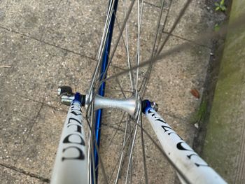 Used Colnago Master Other Campagnolo 1999 Road & Gravel, Blue — image 23 of 25