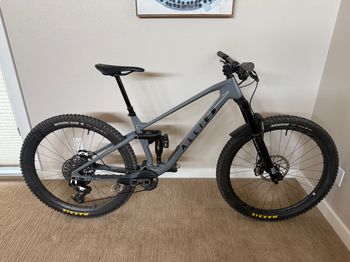 Used Allied fitz frameset 2026 Frameset 2026 MTB