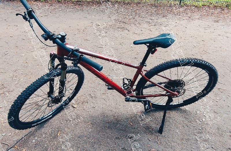 Used Focus Whistler Custom SRAM X01 Eagle AXS 2025 MTB