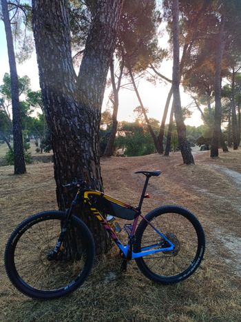 Brugt Ridley Ignite SLX - SRAM X01 Eagle 2020 2020 Mountainbike — billede 10 af 10