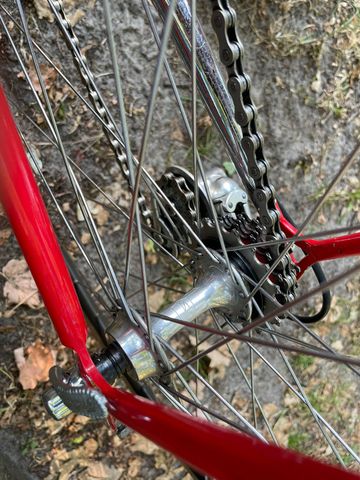 Used Pinarello Asolo Other Campagnolo 1981 Road & Gravel, Red — image 5 of 29