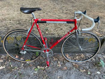 Pinarello Asolo Other Campagnolo 1981 Road & Gravel de segunda mano