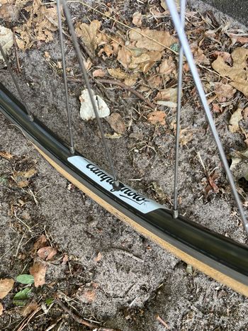 Pinarello Asolo Other Campagnolo 1981 Road & Gravel de segunda mano, Rojo — imagen 12 de 29