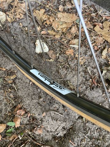 Used Pinarello Asolo Other Campagnolo 1981 Road & Gravel, Red — image 12 of 29