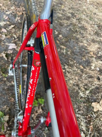 Pinarello Asolo Other Campagnolo 1981 Road & Gravel de segunda mano, Rojo — imagen 7 de 29