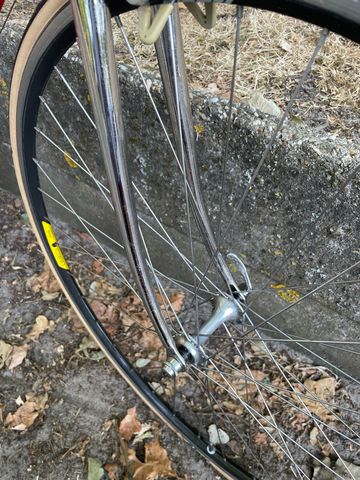Used Pinarello Asolo Other Campagnolo 1981 Road & Gravel, Red — image 13 of 29